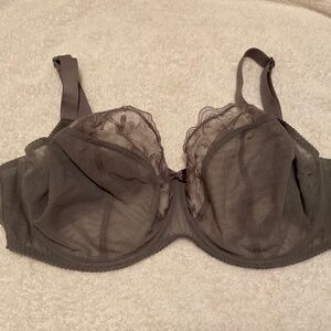 Elegant Sheer Gray Bra